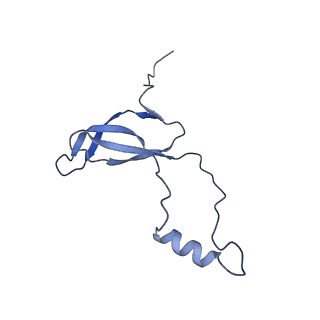 0372_6n8m_Q_v1-1
Cryo-EM structure of pre-Lsg1 (PL) pre-60S ribosomal subunit
