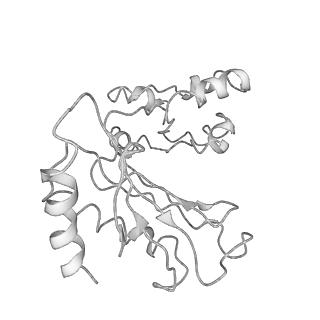 0372_6n8m_S_v1-1
Cryo-EM structure of pre-Lsg1 (PL) pre-60S ribosomal subunit