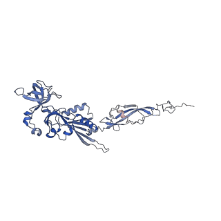 0372_6n8m_V_v1-1
Cryo-EM structure of pre-Lsg1 (PL) pre-60S ribosomal subunit