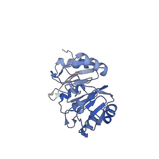 0372_6n8m_X_v1-1
Cryo-EM structure of pre-Lsg1 (PL) pre-60S ribosomal subunit