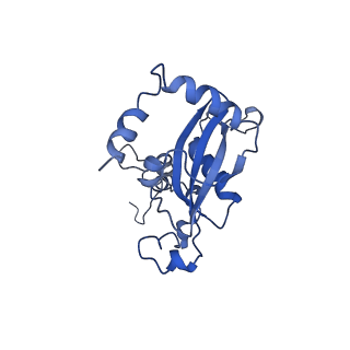 0372_6n8m_a_v1-1
Cryo-EM structure of pre-Lsg1 (PL) pre-60S ribosomal subunit