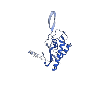 0372_6n8m_c_v1-1
Cryo-EM structure of pre-Lsg1 (PL) pre-60S ribosomal subunit