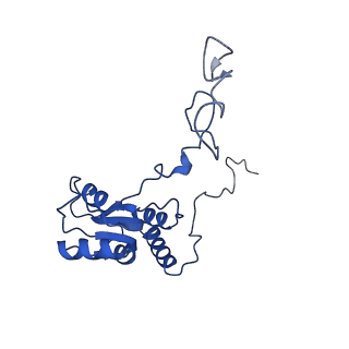0372_6n8m_d_v1-1
Cryo-EM structure of pre-Lsg1 (PL) pre-60S ribosomal subunit