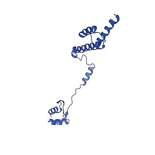 0372_6n8m_e_v1-1
Cryo-EM structure of pre-Lsg1 (PL) pre-60S ribosomal subunit