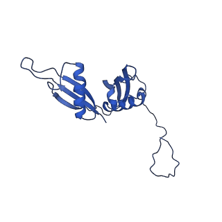 0372_6n8m_f_v1-1
Cryo-EM structure of pre-Lsg1 (PL) pre-60S ribosomal subunit