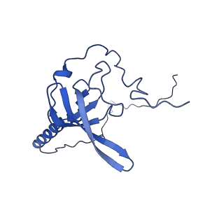 0372_6n8m_g_v1-1
Cryo-EM structure of pre-Lsg1 (PL) pre-60S ribosomal subunit