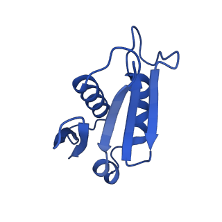 0372_6n8m_h_v1-1
Cryo-EM structure of pre-Lsg1 (PL) pre-60S ribosomal subunit