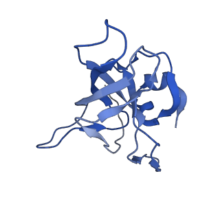 0372_6n8m_i_v1-1
Cryo-EM structure of pre-Lsg1 (PL) pre-60S ribosomal subunit