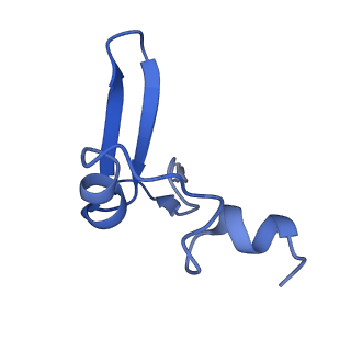 0372_6n8m_j_v1-1
Cryo-EM structure of pre-Lsg1 (PL) pre-60S ribosomal subunit
