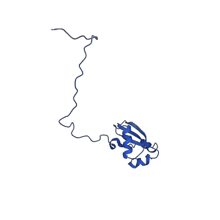 0372_6n8m_k_v1-1
Cryo-EM structure of pre-Lsg1 (PL) pre-60S ribosomal subunit