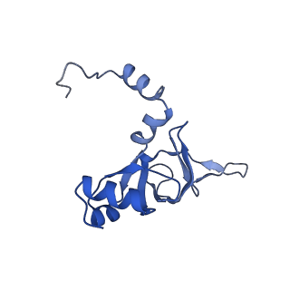 0372_6n8m_l_v1-1
Cryo-EM structure of pre-Lsg1 (PL) pre-60S ribosomal subunit