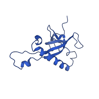 0372_6n8m_m_v1-1
Cryo-EM structure of pre-Lsg1 (PL) pre-60S ribosomal subunit