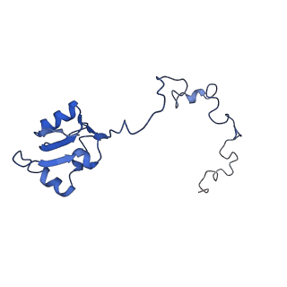 0372_6n8m_n_v1-1
Cryo-EM structure of pre-Lsg1 (PL) pre-60S ribosomal subunit