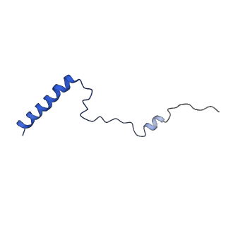 0372_6n8m_o_v1-1
Cryo-EM structure of pre-Lsg1 (PL) pre-60S ribosomal subunit