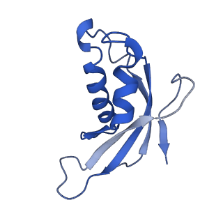 0372_6n8m_q_v1-1
Cryo-EM structure of pre-Lsg1 (PL) pre-60S ribosomal subunit