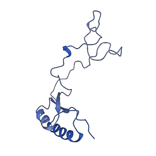 0372_6n8m_r_v1-1
Cryo-EM structure of pre-Lsg1 (PL) pre-60S ribosomal subunit