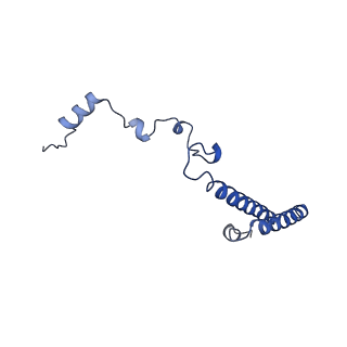 0372_6n8m_u_v1-1
Cryo-EM structure of pre-Lsg1 (PL) pre-60S ribosomal subunit