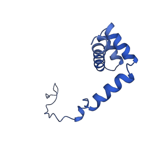 0372_6n8m_v_v1-1
Cryo-EM structure of pre-Lsg1 (PL) pre-60S ribosomal subunit