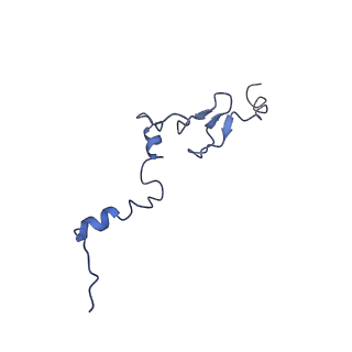 0372_6n8m_w_v1-1
Cryo-EM structure of pre-Lsg1 (PL) pre-60S ribosomal subunit