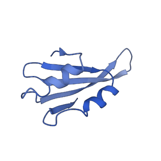 0372_6n8m_x_v1-1
Cryo-EM structure of pre-Lsg1 (PL) pre-60S ribosomal subunit