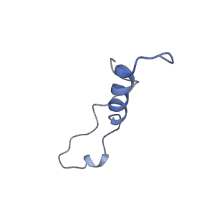 0372_6n8m_y_v1-1
Cryo-EM structure of pre-Lsg1 (PL) pre-60S ribosomal subunit
