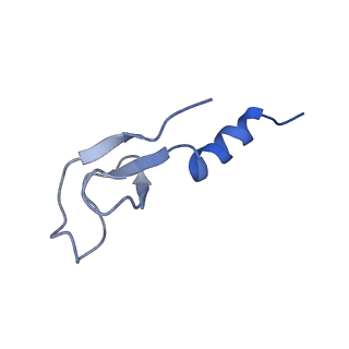 0372_6n8m_z_v1-1
Cryo-EM structure of pre-Lsg1 (PL) pre-60S ribosomal subunit
