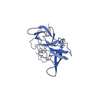 0373_6n8n_D_v1-1
Cryo-EM structure of Lsg1-engaged (LE) pre-60S ribosomal subunit