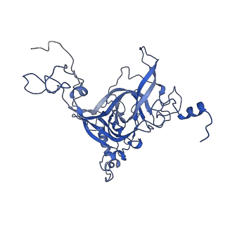 0373_6n8n_E_v1-1
Cryo-EM structure of Lsg1-engaged (LE) pre-60S ribosomal subunit