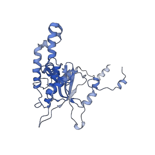 0373_6n8n_G_v1-1
Cryo-EM structure of Lsg1-engaged (LE) pre-60S ribosomal subunit