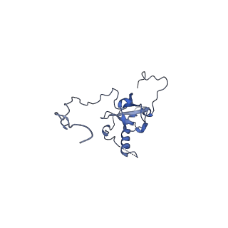 0373_6n8n_H_v1-1
Cryo-EM structure of Lsg1-engaged (LE) pre-60S ribosomal subunit