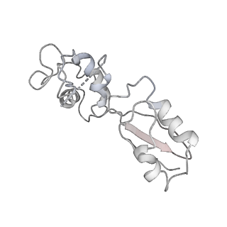 0373_6n8n_L_v1-1
Cryo-EM structure of Lsg1-engaged (LE) pre-60S ribosomal subunit