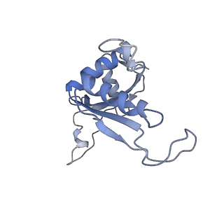 0373_6n8n_M_v1-1
Cryo-EM structure of Lsg1-engaged (LE) pre-60S ribosomal subunit