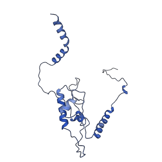 0373_6n8n_N_v1-1
Cryo-EM structure of Lsg1-engaged (LE) pre-60S ribosomal subunit