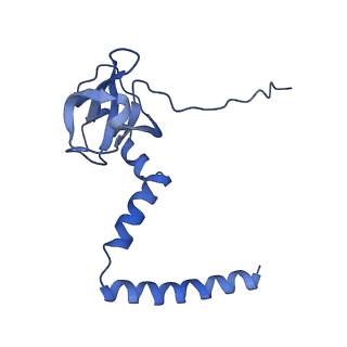 0373_6n8n_O_v1-1
Cryo-EM structure of Lsg1-engaged (LE) pre-60S ribosomal subunit