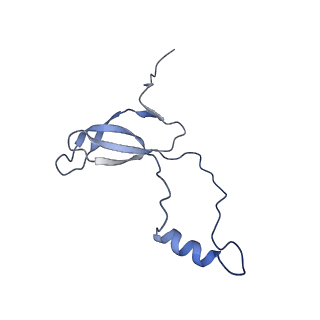 0373_6n8n_Q_v1-1
Cryo-EM structure of Lsg1-engaged (LE) pre-60S ribosomal subunit