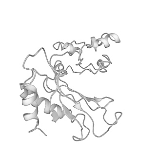 0373_6n8n_S_v1-1
Cryo-EM structure of Lsg1-engaged (LE) pre-60S ribosomal subunit