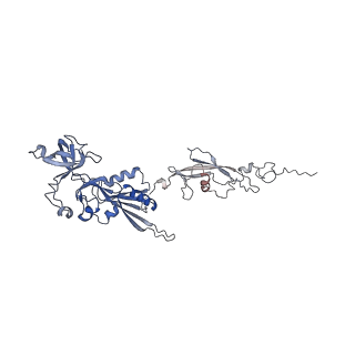 0373_6n8n_V_v1-1
Cryo-EM structure of Lsg1-engaged (LE) pre-60S ribosomal subunit