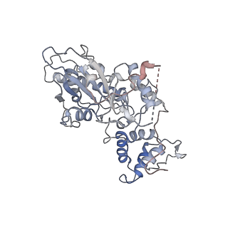 0373_6n8n_W_v1-1
Cryo-EM structure of Lsg1-engaged (LE) pre-60S ribosomal subunit