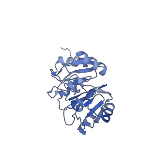0373_6n8n_X_v1-1
Cryo-EM structure of Lsg1-engaged (LE) pre-60S ribosomal subunit
