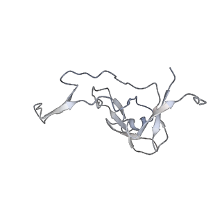 0373_6n8n_Y_v1-1
Cryo-EM structure of Lsg1-engaged (LE) pre-60S ribosomal subunit