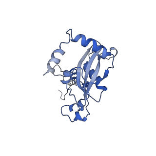 0373_6n8n_a_v1-1
Cryo-EM structure of Lsg1-engaged (LE) pre-60S ribosomal subunit