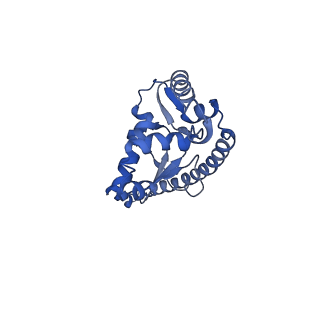 0373_6n8n_b_v1-1
Cryo-EM structure of Lsg1-engaged (LE) pre-60S ribosomal subunit