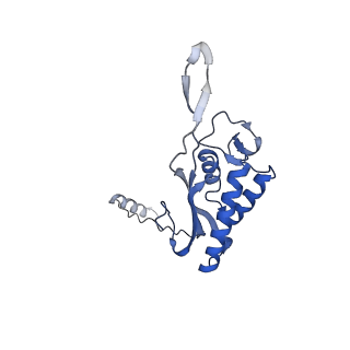 0373_6n8n_c_v1-1
Cryo-EM structure of Lsg1-engaged (LE) pre-60S ribosomal subunit