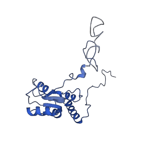 0373_6n8n_d_v1-1
Cryo-EM structure of Lsg1-engaged (LE) pre-60S ribosomal subunit