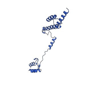 0373_6n8n_e_v1-1
Cryo-EM structure of Lsg1-engaged (LE) pre-60S ribosomal subunit