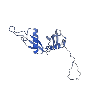0373_6n8n_f_v1-1
Cryo-EM structure of Lsg1-engaged (LE) pre-60S ribosomal subunit