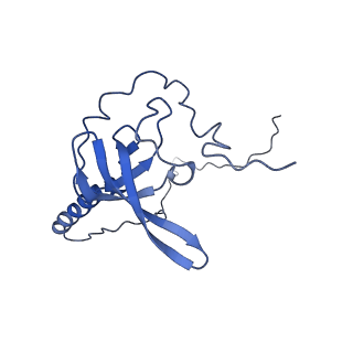 0373_6n8n_g_v1-1
Cryo-EM structure of Lsg1-engaged (LE) pre-60S ribosomal subunit