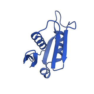 0373_6n8n_h_v1-1
Cryo-EM structure of Lsg1-engaged (LE) pre-60S ribosomal subunit
