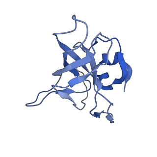 0373_6n8n_i_v1-1
Cryo-EM structure of Lsg1-engaged (LE) pre-60S ribosomal subunit