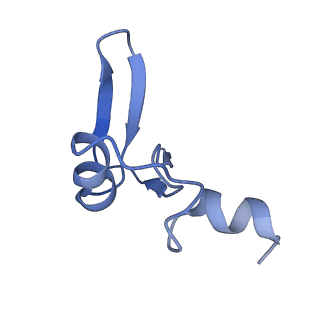0373_6n8n_j_v1-1
Cryo-EM structure of Lsg1-engaged (LE) pre-60S ribosomal subunit